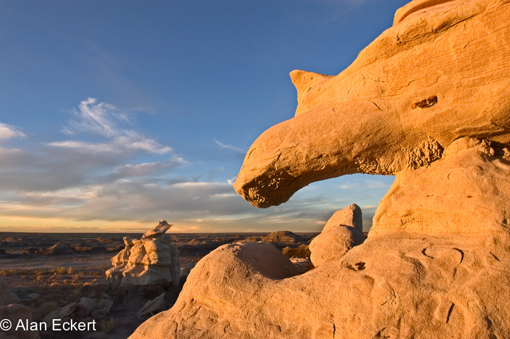 Bisti lion
