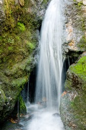 Eckert_060721N0007