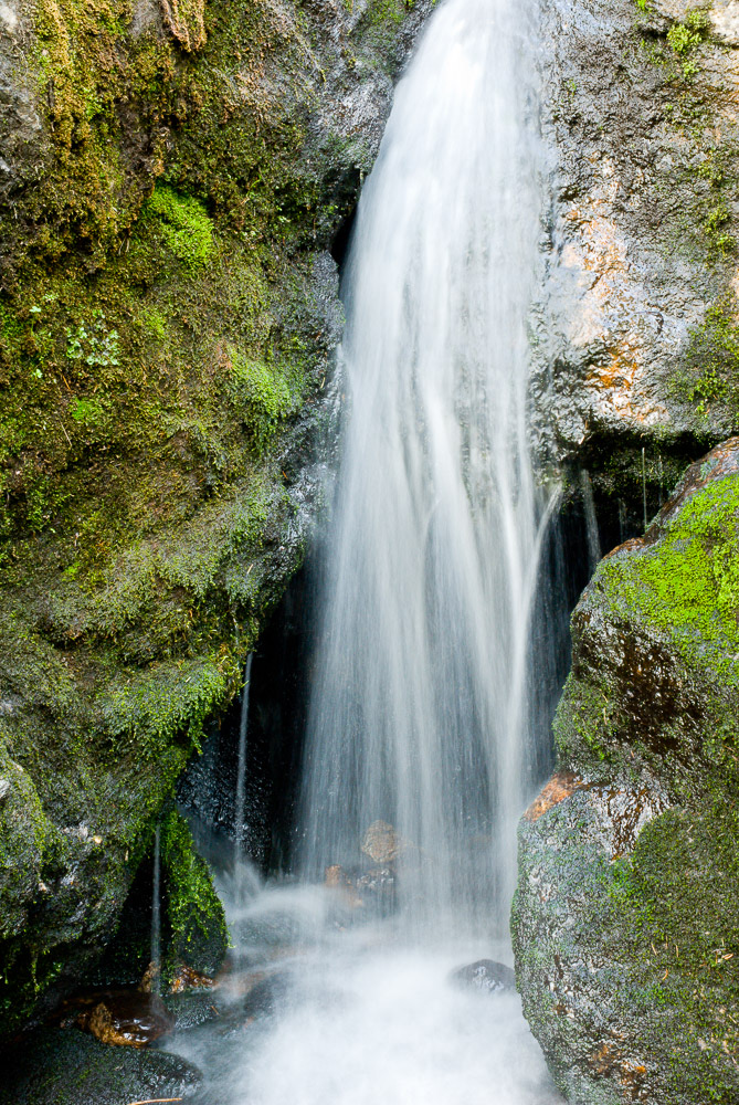 Eckert_060721N0007