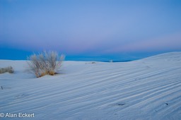Eckert_080108N1516