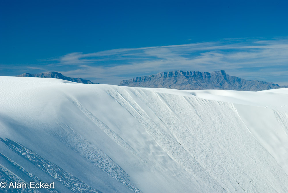 Eckert_080109N1548