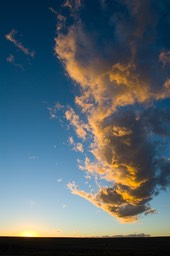 Eckert_080109N1566