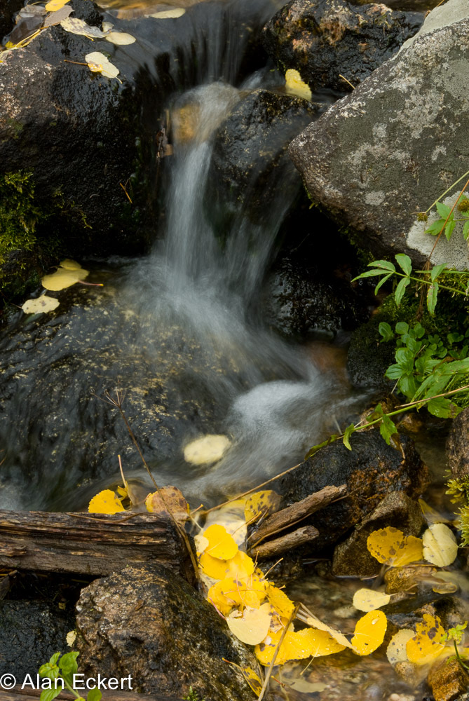 Eckert_081004_2395