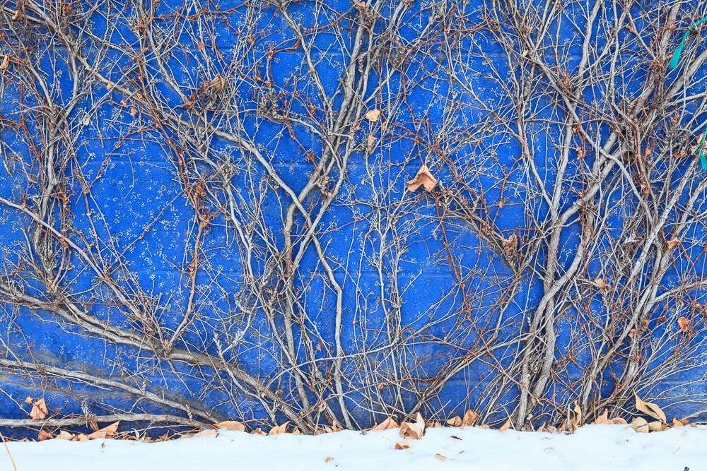 Eckert_121227_3283