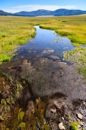 Eckert_130830_3450
