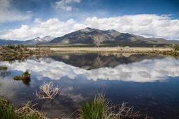 Eckert_150513_4295-Edit