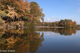 Nanjemoy reflections10