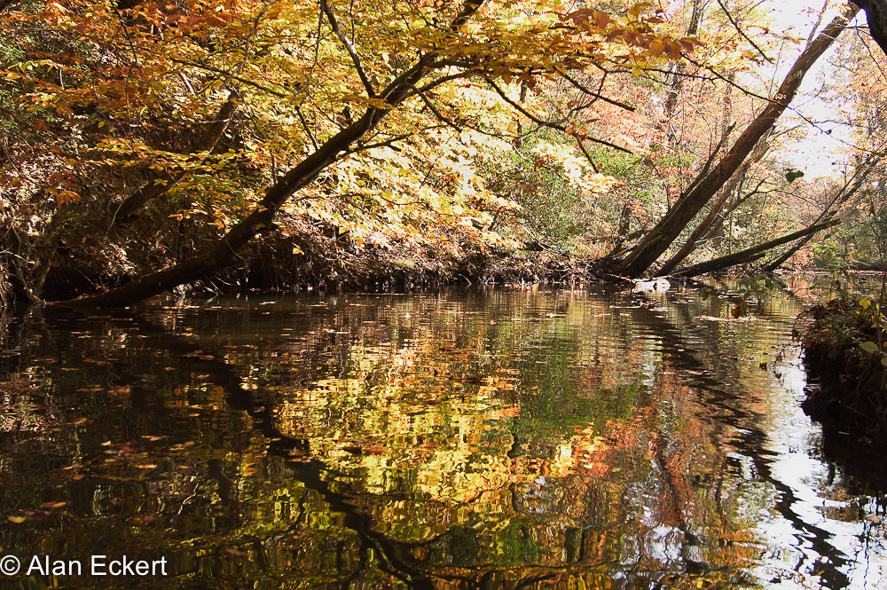 Nanjemoy reflections1