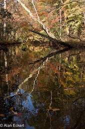Nanjemoy reflections2