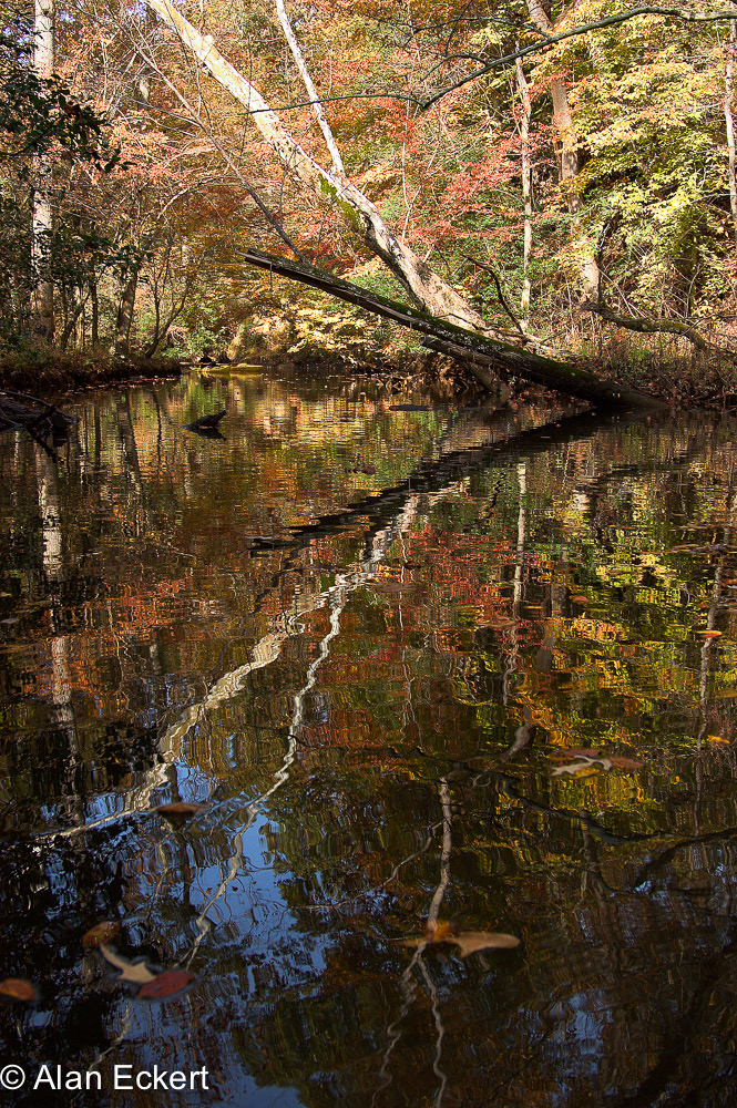 Nanjemoy reflections2
