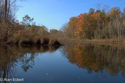 Nanjemoy reflections5