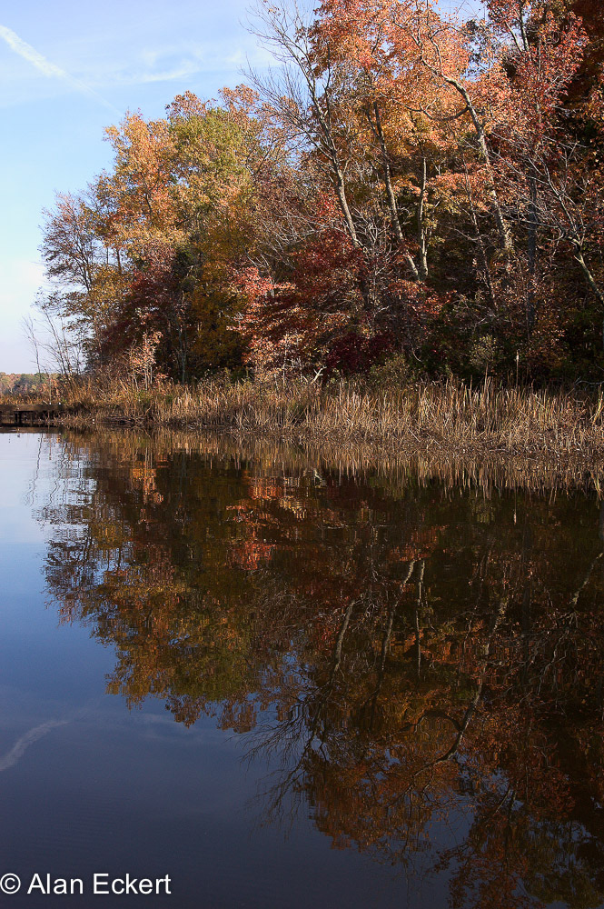 Nanjemoy reflections7