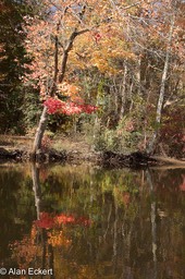 Nanjemoy reflections8