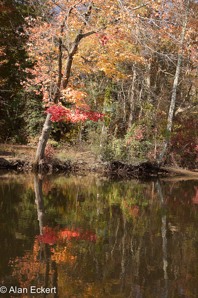 Nanjemoy reflections8