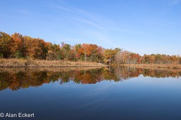 NanjemoyReflections22