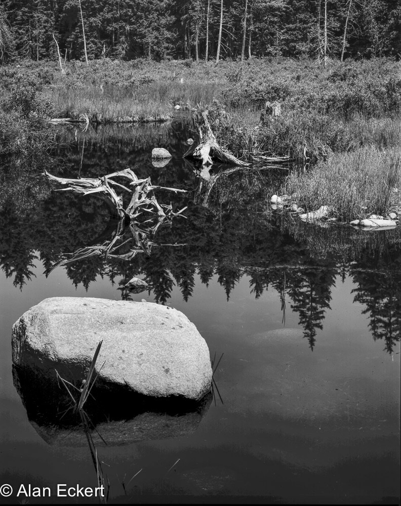 Rock&pond